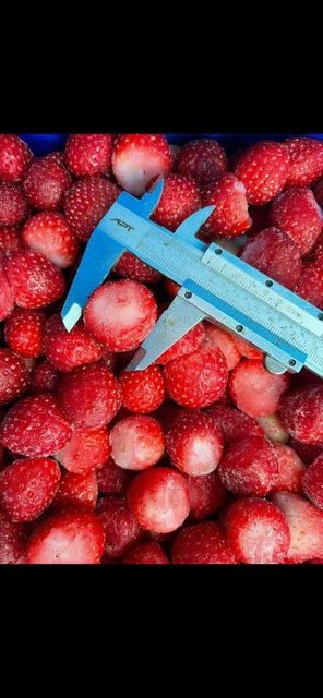 Frozen Green Beans , frozen strawberry - Image 3