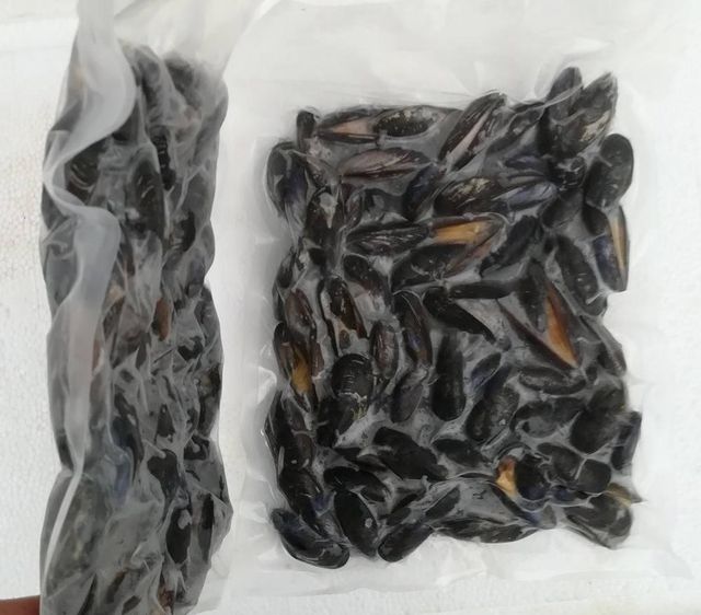 Frozen Mussel Meat 98% Pure Shellfish Product For Wholesale Markets Delivering Fresh Ocean Flavor And Product Excellence - Image 3