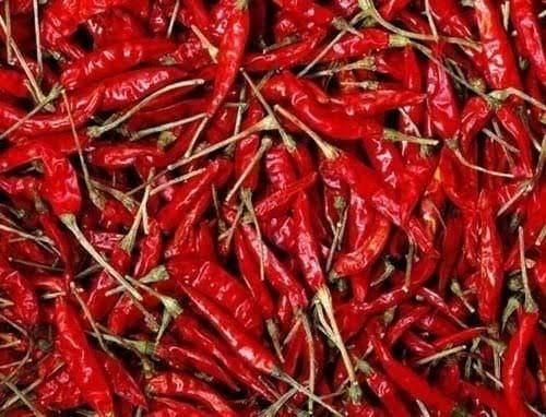 Red chill - Image 1