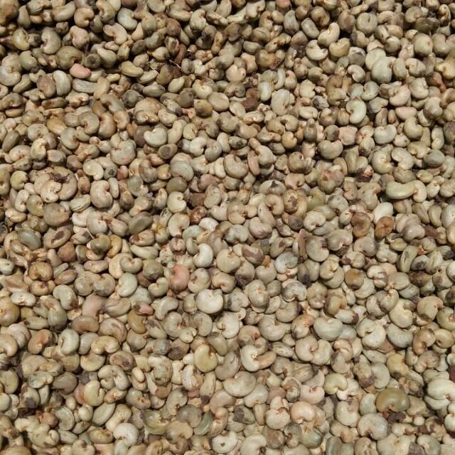 Cashew Nuts - Image 3