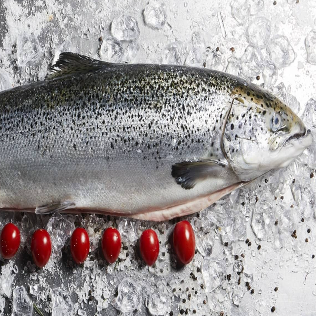Fresh Atlantic Salmon Fish Frozen Whole Salt Preserved Fast Shipping for Bulk Orders Available for Sale - Image 3