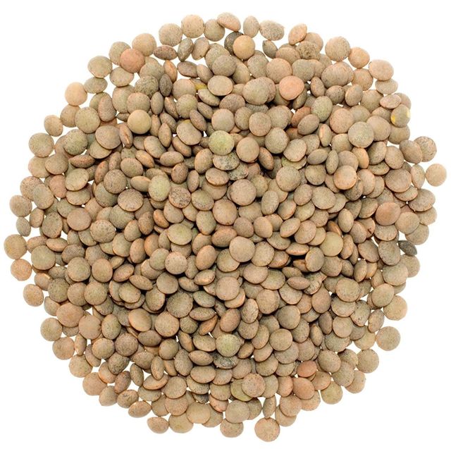 lentils - Image 3