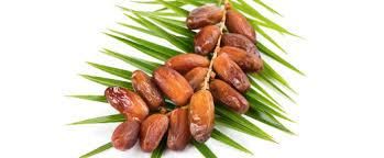Premium Dried Dates Palm – Natural Sweet & Healthy Snack - Image 3