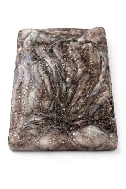 Block Frozen Octopus - Image 2