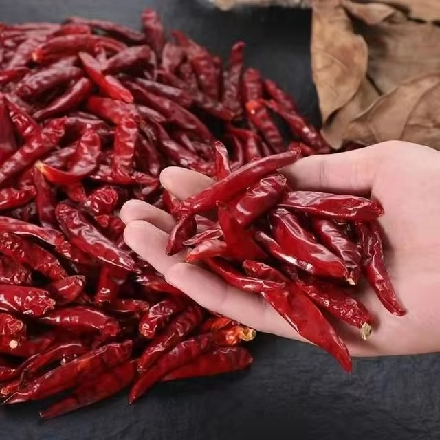 Sun Dried Cayenne Pepper Powder Featuring 95 Percent Purity For Food Processing And Ingredient Sourcing Applications - Image 3
