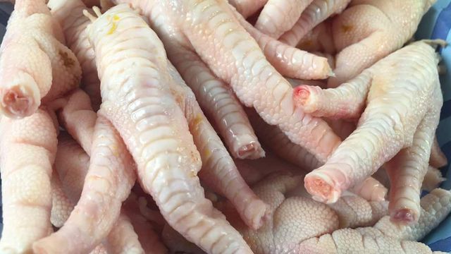 Premium Frozen Chicken Paws – Wholesale Bulk Supply for Export - Image 4