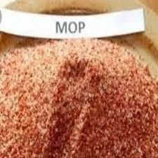 POTASSIUM CHLORIDE/MURIATE OF POTASH (MOP) (Crystalline powder) - Image 2