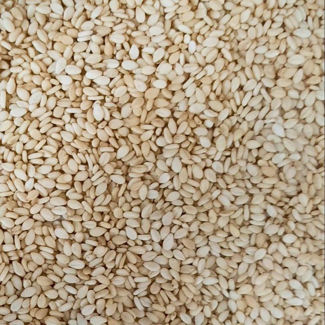 Organic Style Natural Sesame Seed High Oil Yield Sesame Seed For International Food Ingredient Manufacturing Bulk Supply - Image 2