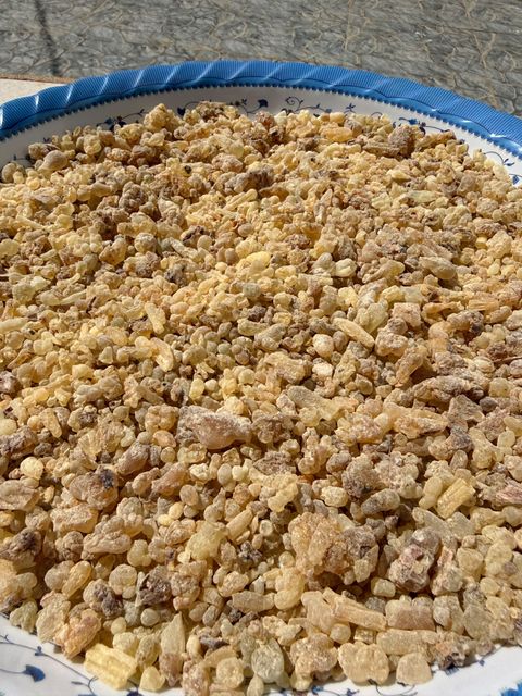 Natural Frankincense Resin for Chinese Herbal Raw Material – 1 MT – product photo 4, product detail gallery