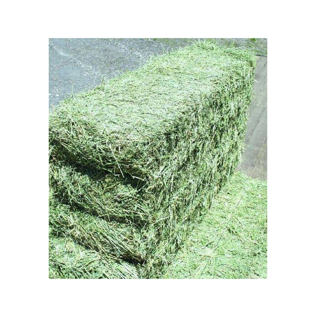 Wholesale Alfalfa Hay Feed at Unbeatable Prices Elevate Health with Premium Pakistani Alfalfa Hay Best Exporter - Image 3