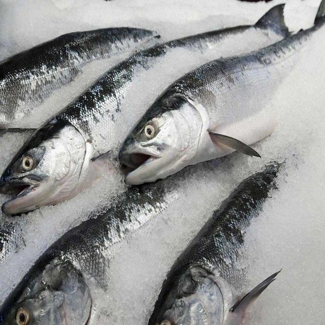 Wholesale Low Price High Quality Whole Dry Frozen Ribbon Fish HACCP & ISO Certified Bulk Pack 10kg - Image 2