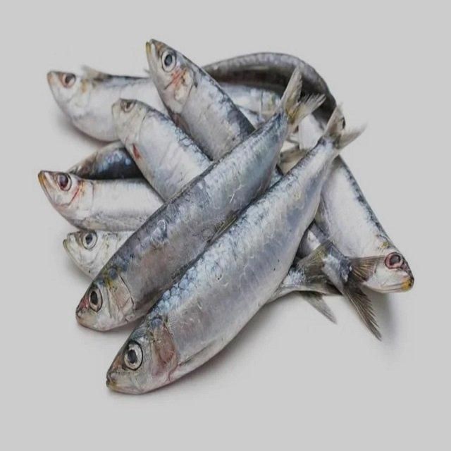 High Quality Frozen Whole Sardine Fish Natural Flavor Seafood Product For Wholesale Buyers Restaurants - Image 4