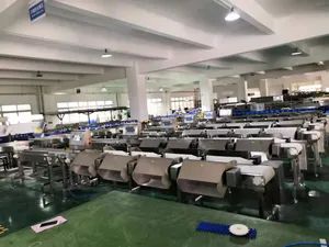 Automatic Weight Grader and Sorting Machine for Poultry and Seafood Processing - Image 4
