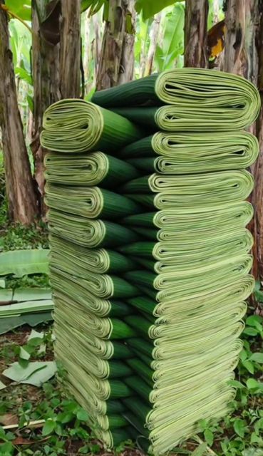 Banana leaf - Image 1