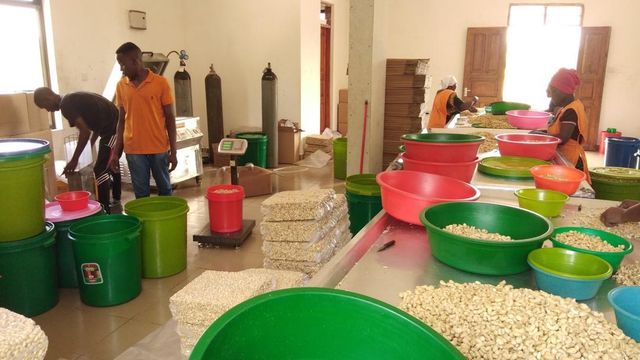 Directly Eatable Natural Roasted Salted Unshelled Cashew Nuts W180 Grade African  Exported Bulk Quantity Dried Food Grade. Whatsap +255787979235 - Image 4