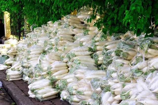 FRESH WHITE RADISH FOR SALE 2019 Type Radish Color White Style Fresh Weight (kg) 1 Content RADISH Taste Delicious Shelf Life 20 - Image 4