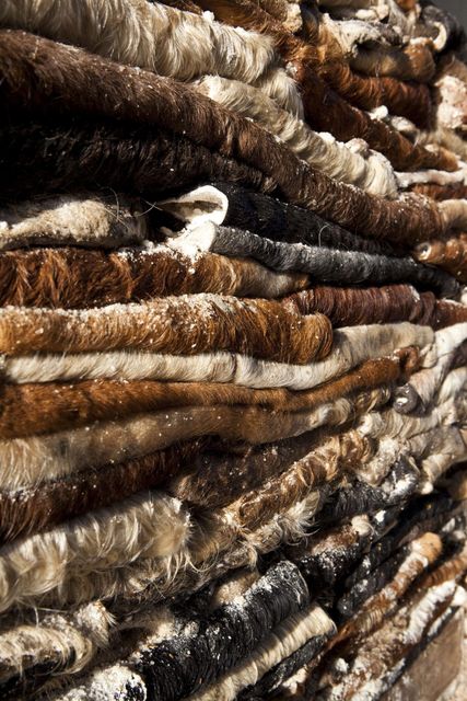 Quality Dry Donkey Hides, Wet Blue Cow hides and wet salted cow hides available - Image 2