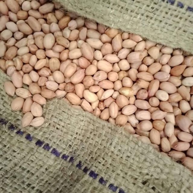 Carefully Sorted Dried Peanut Kernels From Tanzanian Groundnuts With Vacuum Packing For International Wholesale - Image 5