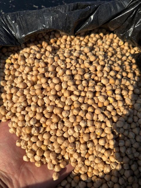Chickpeas/Green Lentils, Red Lentils, Oats, Oat Flakes, Safflower, Hulled Oats, Yellow Peas, Barley, Coriander - Image 2