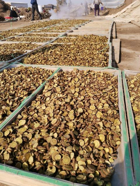 licorice root Packaging box Type dried root Weight (kg) 25 kg - Image 5