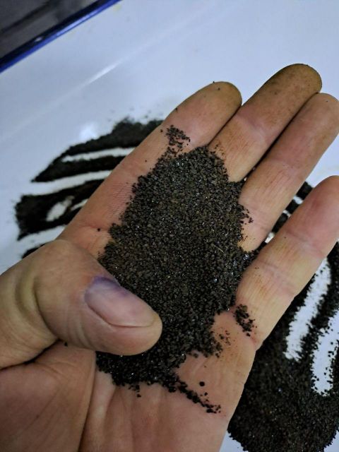 herbs - Image 6
