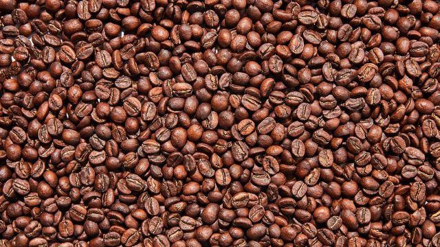 Premium Grade Arabica & Robusta Organic Roasted Coffee Beans Premium Grade 25kg/bag - Image 3