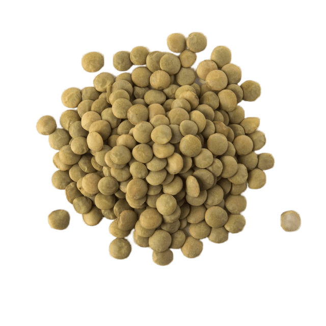 lentils - Image 4
