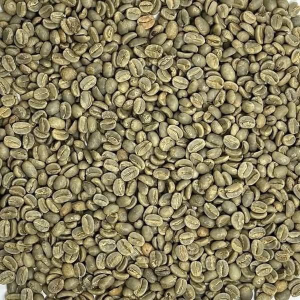 Premium Robusta Coffee Beans Export Quality Bulk Supply Ideal for Roasting and Brewing - Image 5