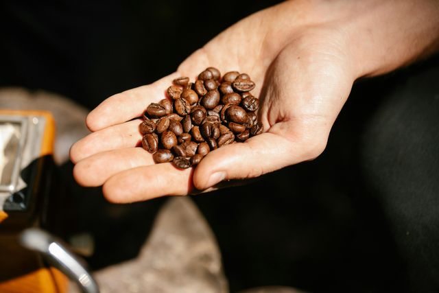 Directly Wholesaled Premium Quality Freshly Roasted Dried Bulk Brazilian Organic Blended Arabica Robusta Coffee Beans Hot - Image 4