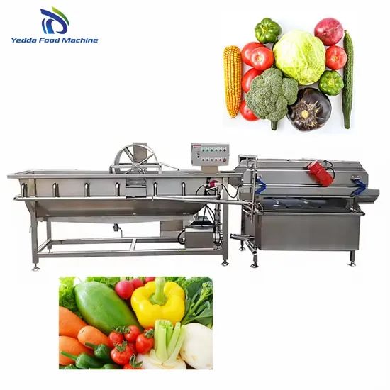 High Capacity Broccoli Parsley Vortex Washing Equipment - Image 2