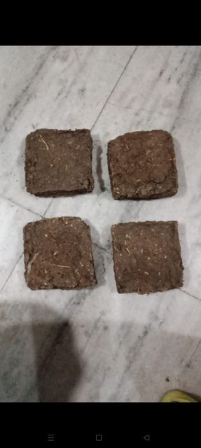 Cow dung powder - Image 2