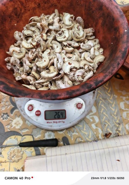 Raw cashew nuts Origin Ghana Price 14.5/15 Quality 48/49lbs Moisture Content - Image 1