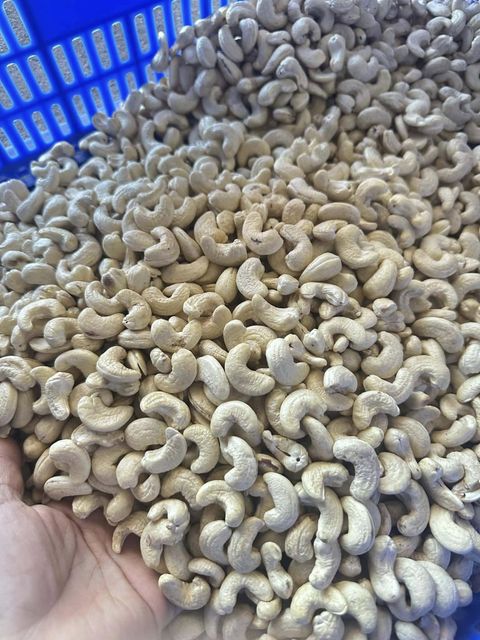 Vietnam Premium Cashew Nuts W320 W240 W180 | Raw & Roasted Cashew Kernels | Factory Wholesale Export - Image 3
