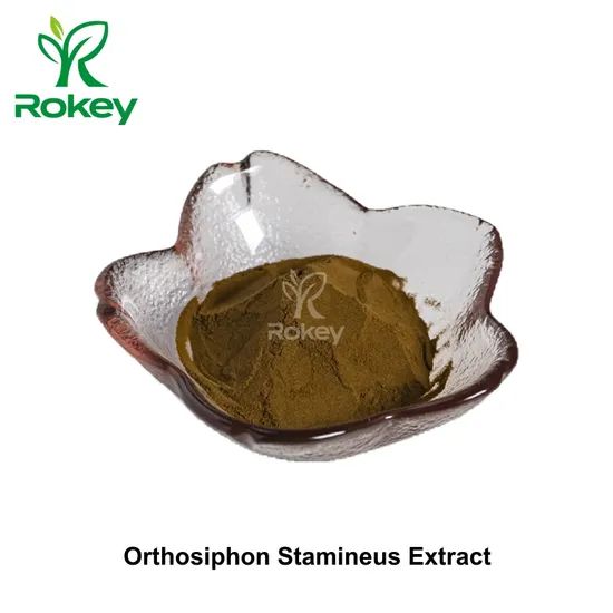 Premium Herbal Support Powder Pure Orthosiphon Stamineus Extract - Image 2