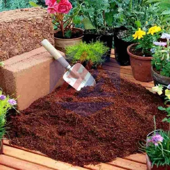Multi-Layer Coconut Coir Drying Equipment - Image 2