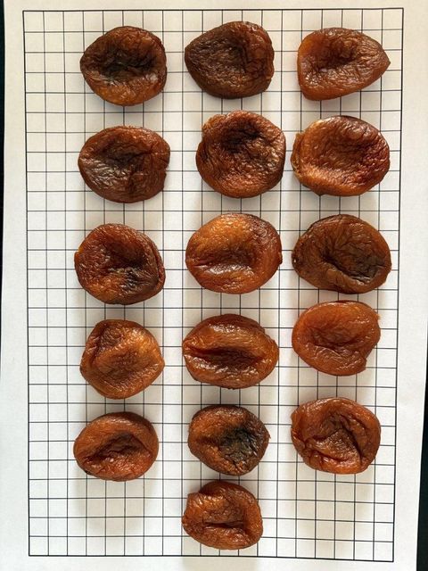 Organic Dried Apricots – Uzbekistan Origin | BIO Certified | Industrial & Retail Grade - Image 3