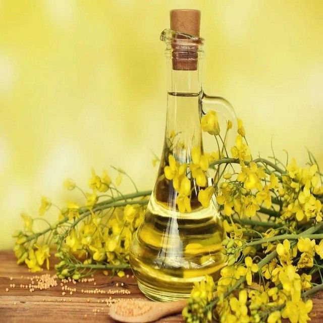 Refined Canola Oil Premium Cooking Oil For Healthy Meals Restaurant Kitchens Food Processing - Image 3