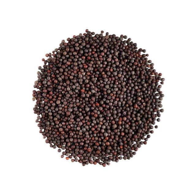 High grade mustard seeds available in bulk for wholesale supply and export - Image 4