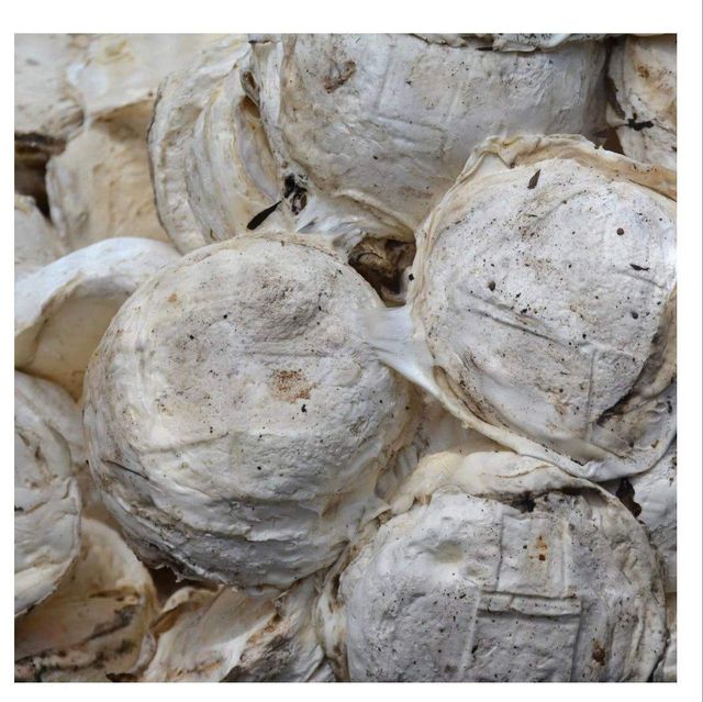 Natural latex rubber cup lumps for industrial processing and rubber export supply - Image 3