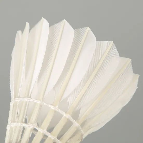 Training Badminton Shuttlecock 60 Model - Image 3