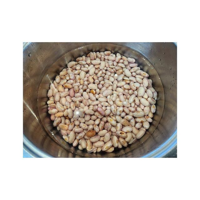 Bulk sugar beans sourced from trusted agricultural producers - Image 2