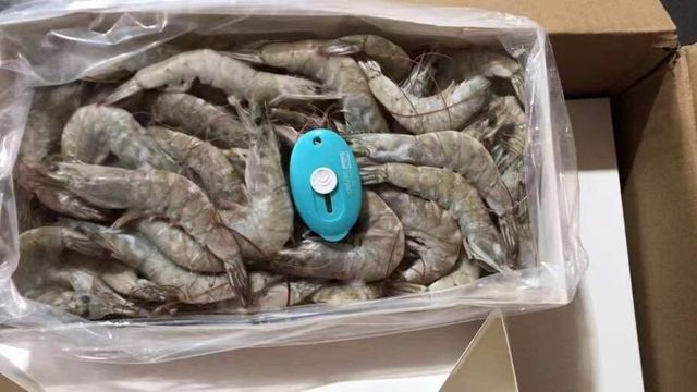 FISH AND FISH PRODUCTS (CRUSTACEANS) FROZEN HOSO VANNAMEI SHRIMPS IN FROZEN - Image 5