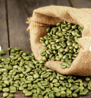 Quality Kopi luwak Coffee beans ( Civet coffee beans), Excelsa Coffee Beans, Maragogipe coffee beans for sale - Image 4
