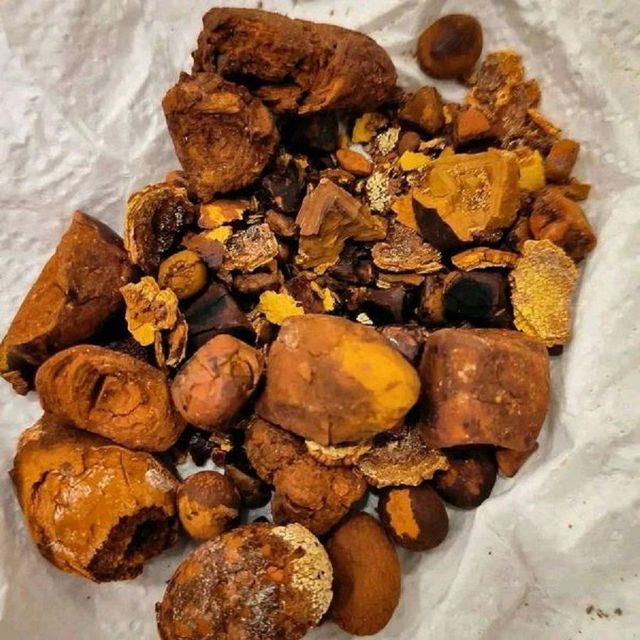Natural and Pure High Quality Ox Gallstones (Cattle Gallstones) Grade a 60% Melittin Protein Yellow Carton for Food Use - Image 3