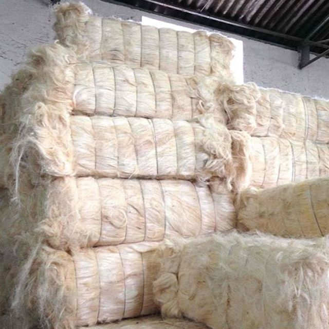 UG Grade Sisal Fiber Clean Processed Natural Fiber With Uniform Texture For Matting Carpets Handicrafts And Cord Product - Image 3