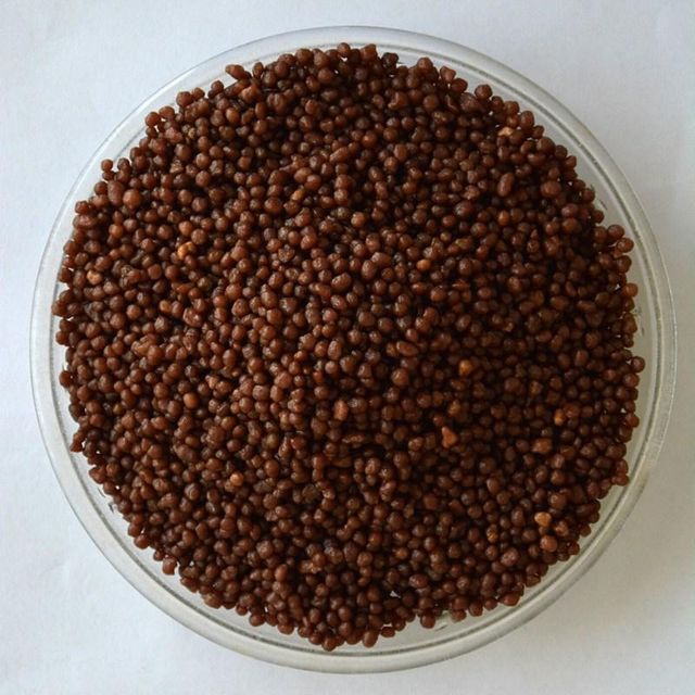 Di-ammonium Phosphate DAP Granular Fertilizer. 18-46-0 Di-ammonium Phosphate Fertilizer for plant nutrition - Image 2