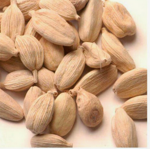 Hot Selling Wholesale Dried white Cardamom High quality grinding .White and Green Cardamom Seed - Image 3