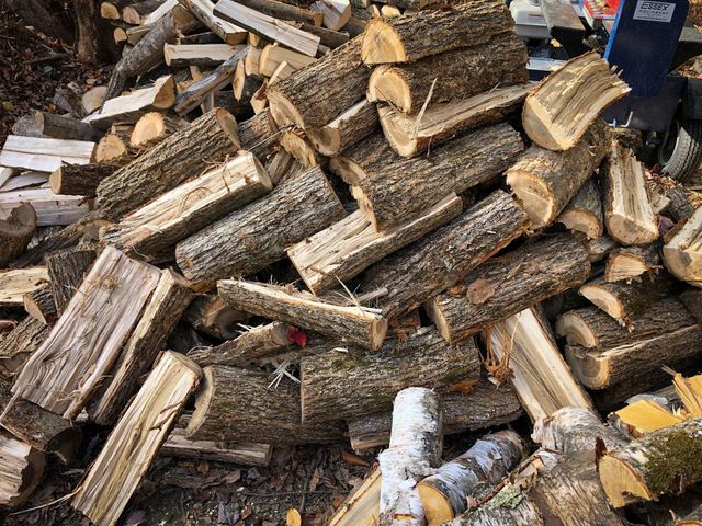 High Efficiency Ash Firewood for Energy Premium Wood Fuel Heating Cooking Dry Logs Natural Strong Heat Output Perfect Winter Solution Buy Premium Quality Now - Image 3