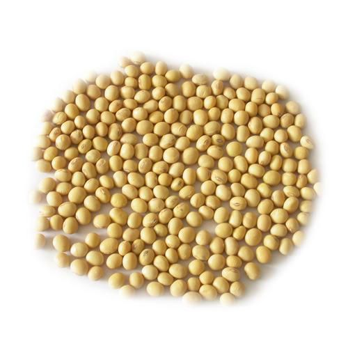 Soybeans NON-GMO SoyaBeans Seeds Suppliers - Image 1
