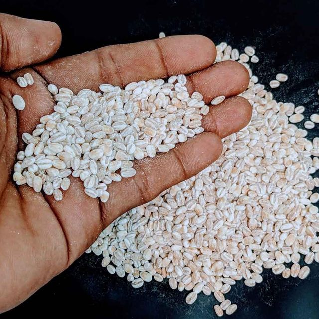 High Quality Barley Grain For Global Export Premium Barley Grain Packed Fresh And Ready For Wholesale Orders - Image 3